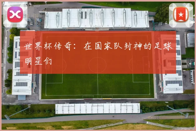 世界杯传奇:在国家队封神的足球明星们