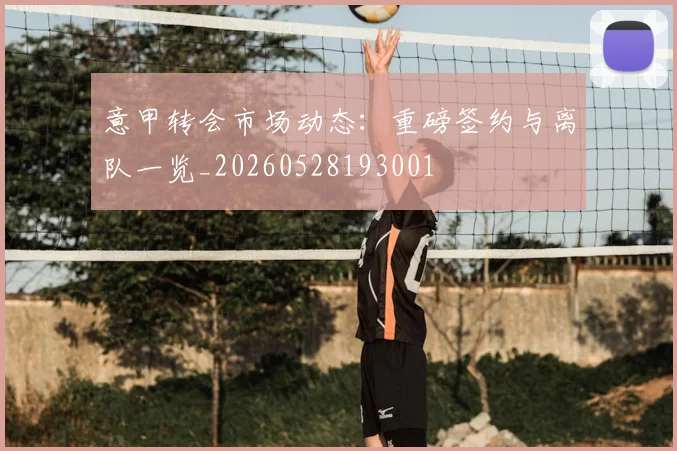 意甲转会市场动态:重磅签约与离队一览_20260528193001